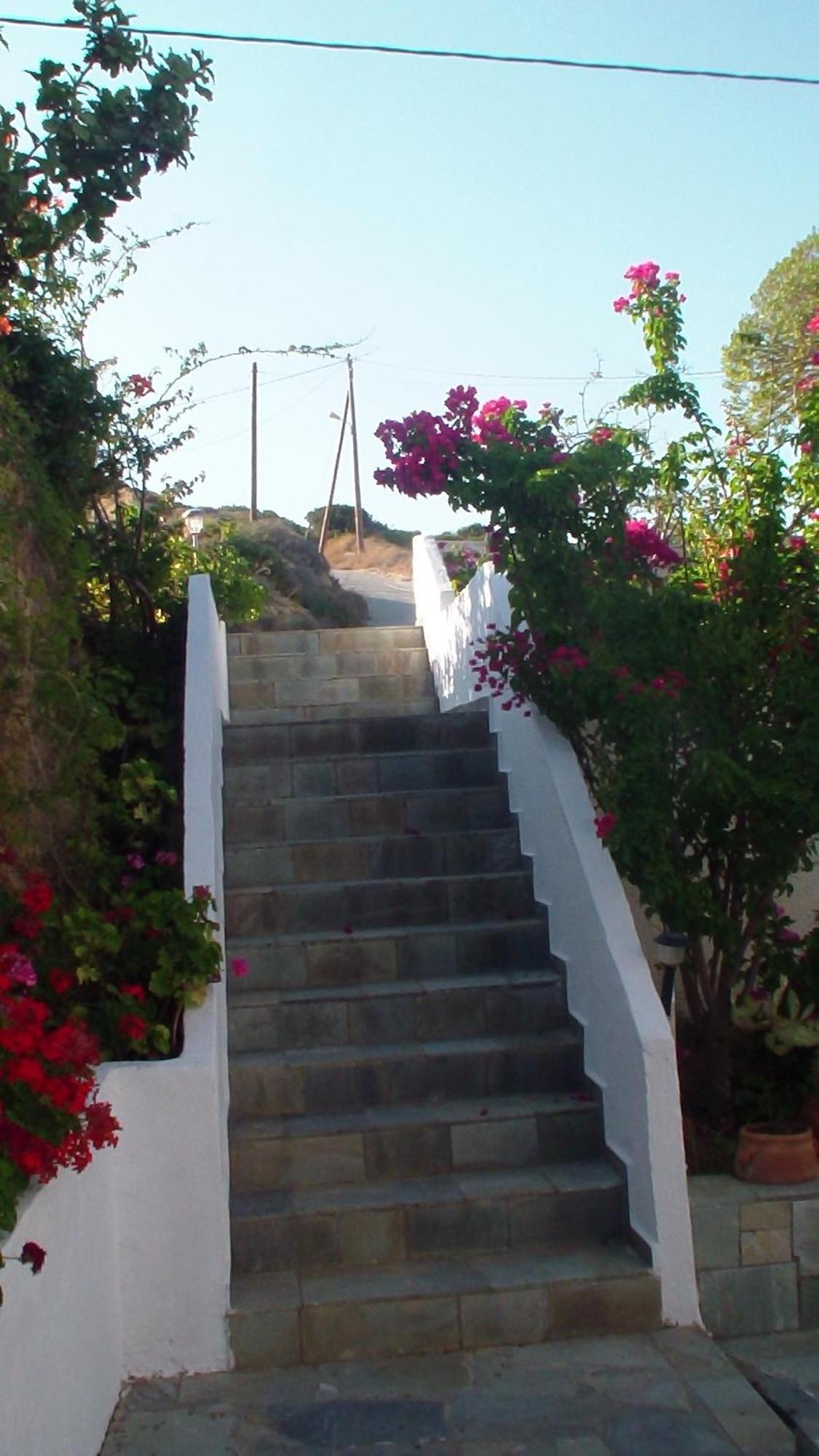 Creta Vassakis Studios 2 Kefalos  Exterior photo